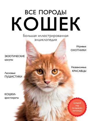 Все породы кошек. Большая иллюстрированная энциклопедия фото книги