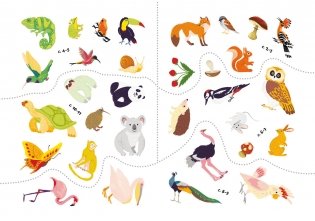 Первые раскраски с цветным контуром и наклейками. Птицы (32 наклейки) фото книги 4