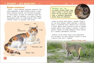 Кошки и котята. Энциклопедия для детского сада фото книги 3