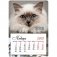 Отрывной календарь "Mono - Кошачья нежность", на магните, 95x135 мм, на 2018 год фото книги маленькое 2