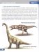 Мир динозавров. Энциклопедия фото книги маленькое 9
