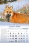 Календарь настенный перекидной на 2024 год "Особенности национальной охоты" (320х480 мм) на гребне с ригелем фото книги маленькое 4