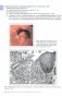 Прижизненная патолого-анатомическая диагностика болезней органов пищеварительной системы (класс XI МКБ-10). Руководство для врачей фото книги маленькое 3