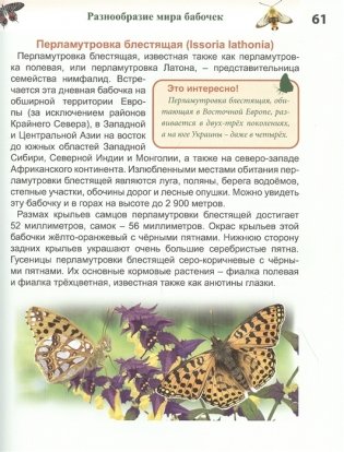 Энциклопедия. Бабочки фото книги 6