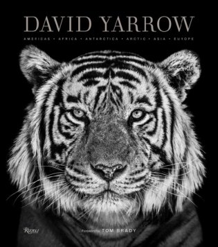 David Yarrow Photography. Americas, Africa, Antarctica, Arctic, Asia, Europe фото книги