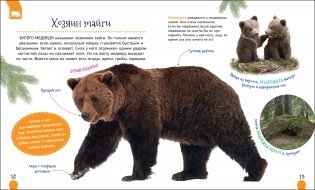Животные России фото книги 2