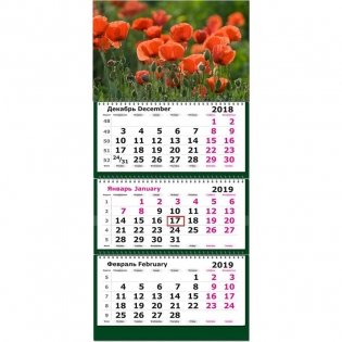 Календарь настенный на 2019 год "Цветущие маки", 305х675 мм фото книги