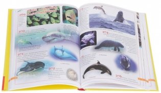 Большая иллюстрированная энциклопедия для детей фото книги 4
