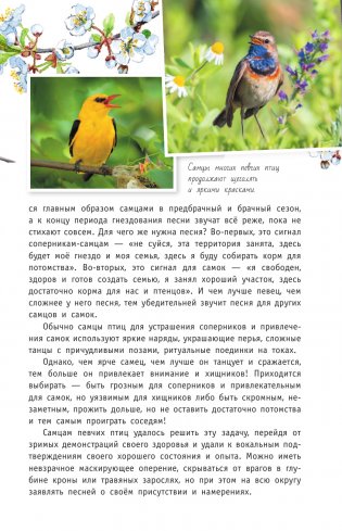 Певчие птицы. Средняя полоса европейской части России. Определитель с голосами птиц фото книги 4