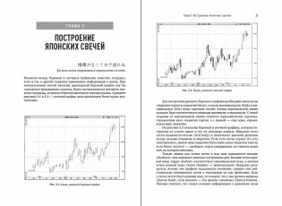 Японские свечи. Графический анализ финансовых рынков фото книги 3