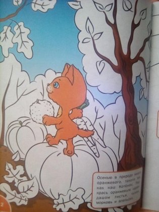 Цвета, узоры и перспектива. Развивающая раскраска. Гриф МО РФ фото книги 4
