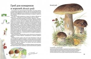 Софи в мире грибов фото книги 4