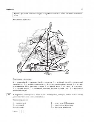 ОГЭ-2024. Биология (60x84/8). 30 тренировочных вариантов экзаменационных работ для подготовки к основному государственному экзамену фото книги 16