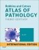 Robbins and Cotran Atlas of Pathology фото книги маленькое 2