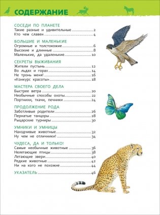 Удивительные животные. Энциклопедия для детского сада фото книги 4