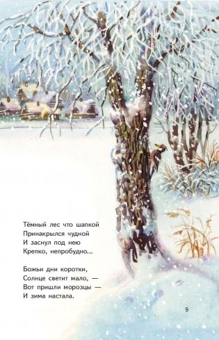 Мороз и солнце. Стихи русских поэтов о зиме фото книги 9
