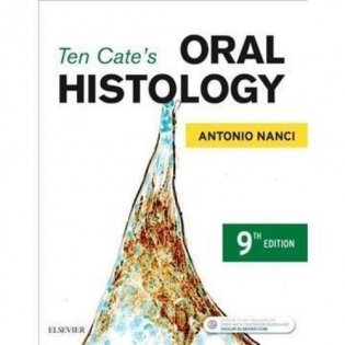 Ten Cate's Oral Histology фото книги