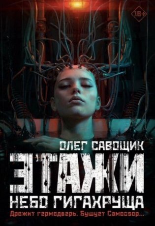 Этажи. Небо Гигахруща фото книги