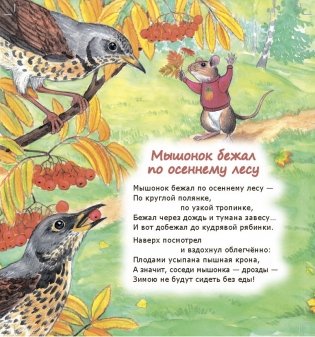 Кошки-мышки фото книги 4