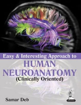 Easy & Interesting Approach To Human Neuroanatomy (Clinically Oriented) фото книги