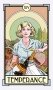 Christina Ricci's Cat Full of Spiders Tarot Deck and Guidebook фото книги маленькое 10