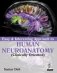 Easy & Interesting Approach To Human Neuroanatomy (Clinically Oriented) фото книги маленькое 2