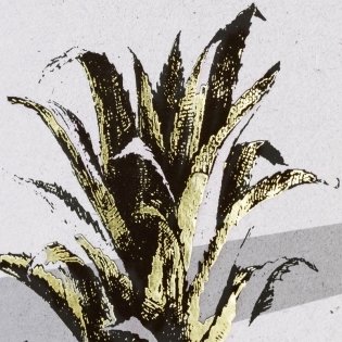 Тетрадь на спирали "Ананас", А4, 80 листов, клетка фото книги 4