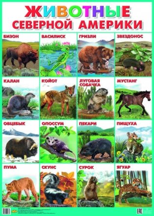 Демонстрационный плакат "Животные Северной Америки" фото книги