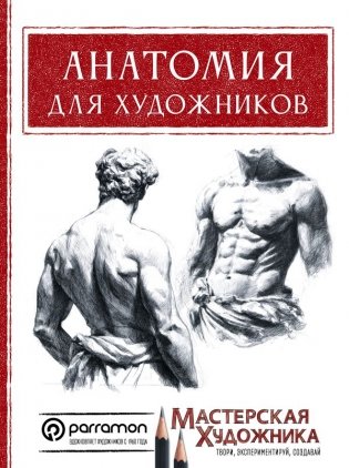 Анатомия для художников фото книги