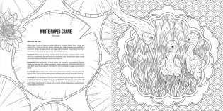 Baby animals: a smithsonian coloring book фото книги 10