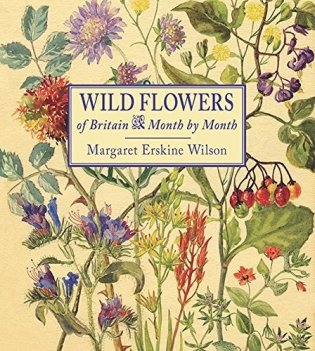 Wild Flowers of Britain. Month by Month фото книги