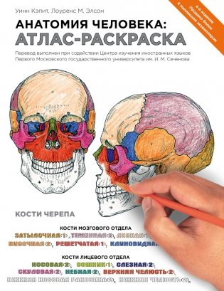 Анатомия человека: атлас-раскраска фото книги