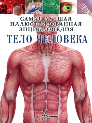 Тело человека фото книги