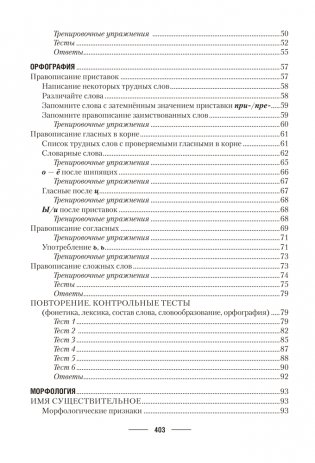 Русский язык. ЦЭ. ЦТ. Теория. Примеры. Тесты фото книги 14