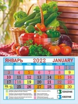 Календарь на магните на 2022 год "Сад-Огород" фото книги 2