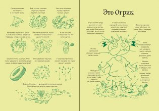 Огрики из Грязьбурга фото книги 5