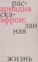 Ариадна Эфрон: рассказанная жизнь. 3-е изд фото книги маленькое 2