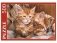 Пазл "Рыжие котята Мейн-куна", 500 элементов фото книги маленькое 2