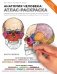 Анатомия человека: атлас-раскраска фото книги маленькое 2