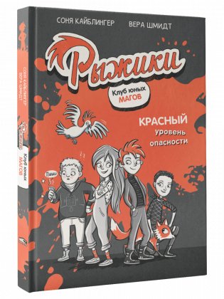 Рыжики. Клуб юных магов. Красный уровень опасности фото книги