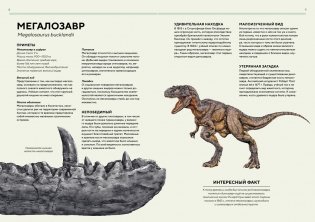 Динозавры в натуральную величину фото книги 3