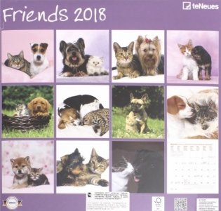 Календарь настенный "Друзья" на 2018 год фото книги