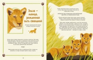 Животные-супергерои. Непридуманные истории для детей фото книги 2