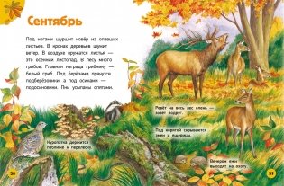 Природа. Энциклопедия для малышей фото книги 3