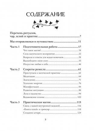 Магия. Практическое руководство для современной Ведьмы фото книги 21