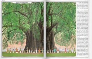 Деревья фото книги 5