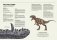 Динозавры в натуральную величину фото книги маленькое 4