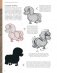 Дизайн персонажей-животных. Концепт-арт для комиксов, видеоигр и анимации фото книги маленькое 9