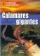 Calamares Gigantes (+ DVD) фото книги маленькое 2