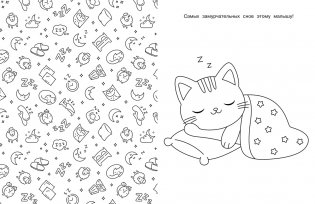 Котики и кошечки фото книги 4